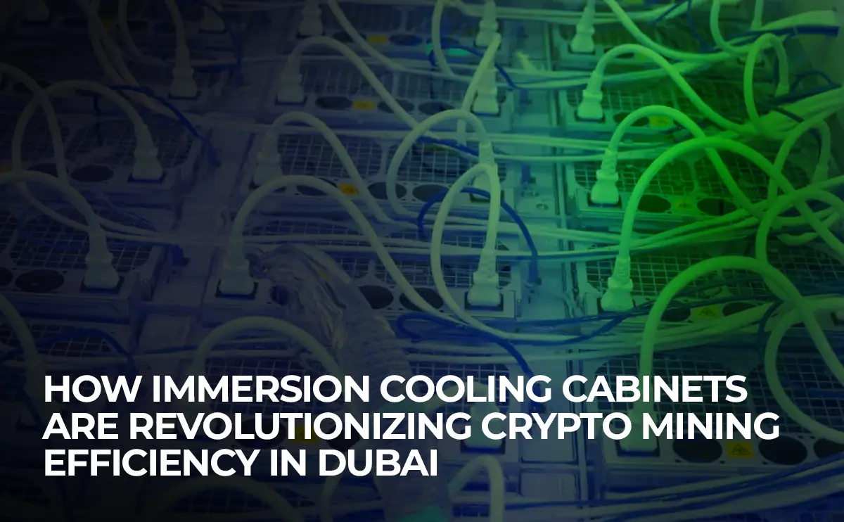 Immersion cooling cabinets used in UAE crypto mining farms to increase efficiency, reduce heat, and improve miner performance.