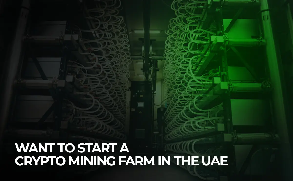 Crypto mining farm in the UAE? WeMine helps you with setup, hardware, hosting, and legal guidance for a profitable mining operation.